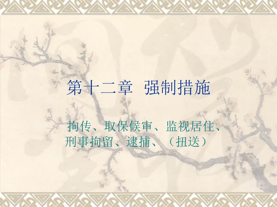 第十二章   强制措施_第1页