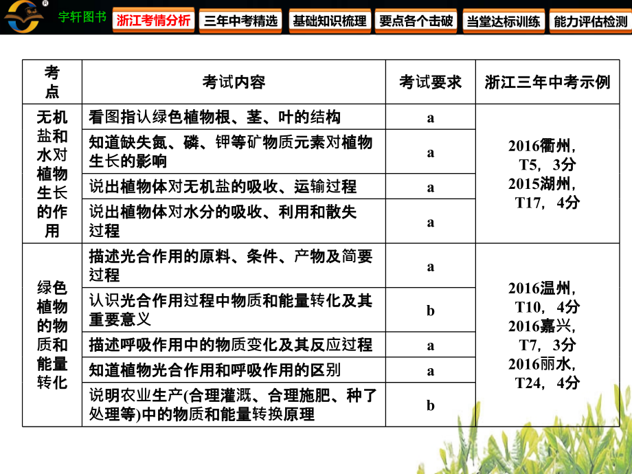 2017第4讲 绿色植物的物质和能量转换_第4页