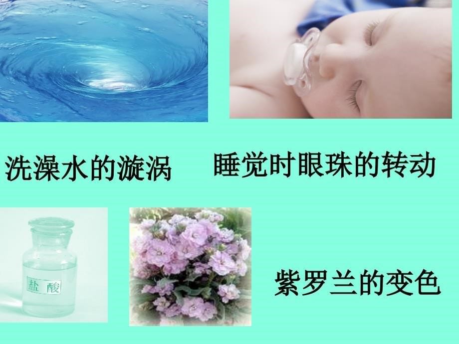 真理诞生于一百个问号之后第二课时_第5页