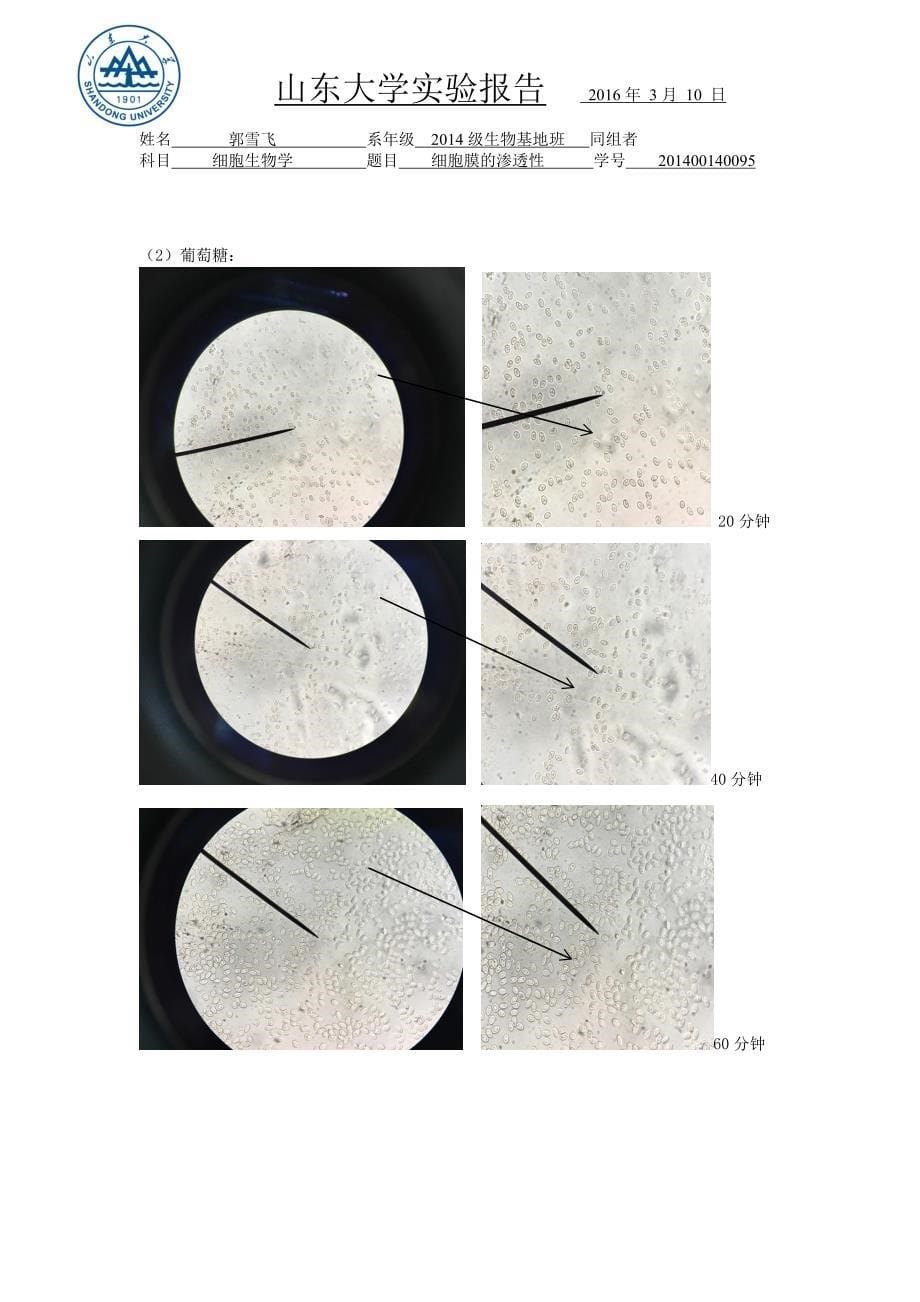 山东大学 细胞膜的通透性_第5页