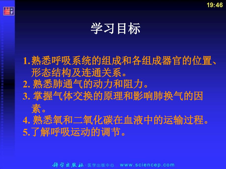 第六章  呼吸系统 人体解剖生理学_第2页