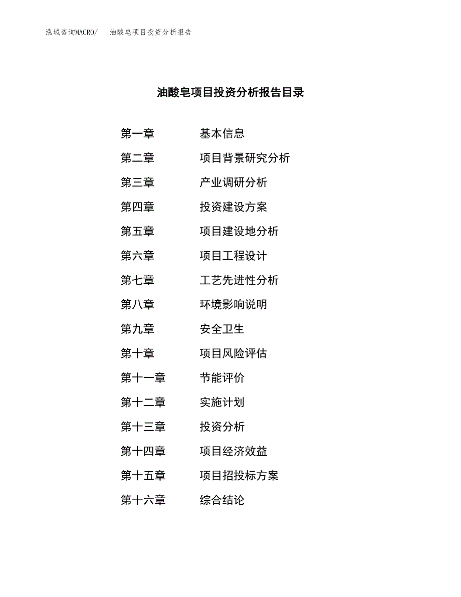 （模板）油酸皂项目投资分析报告_第3页