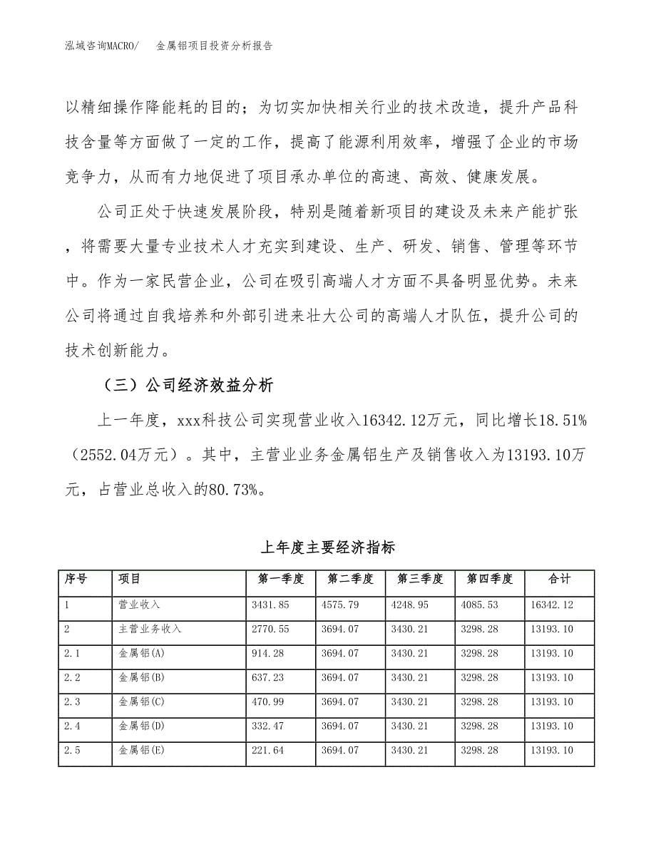 （模板）金属铝项目投资分析报告_第5页