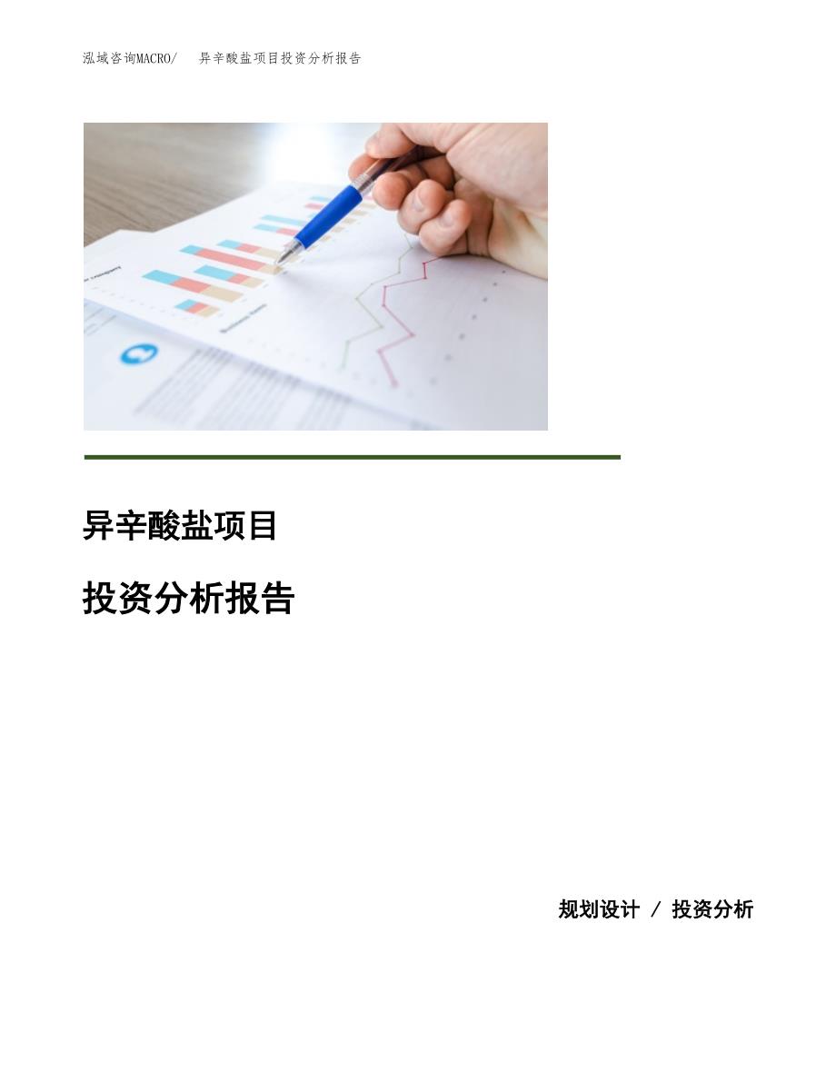 （模板）异辛酸盐项目投资分析报告_第1页
