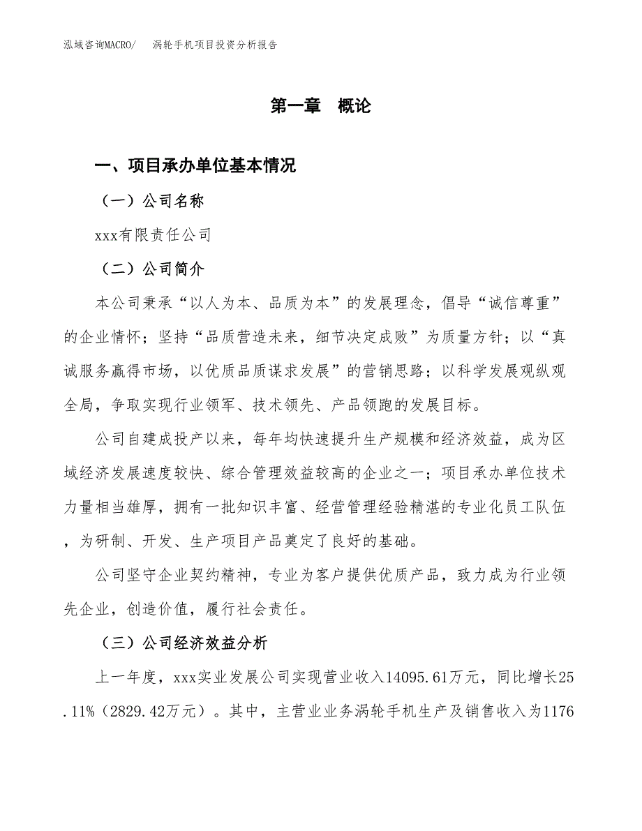 （模板）涡轮手机项目投资分析报告_第4页