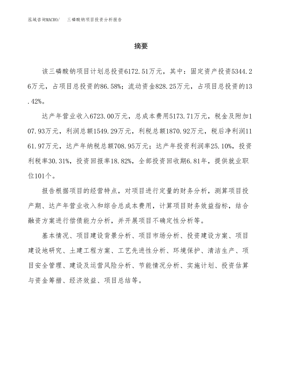 （模板）三磷酸钠项目投资分析报告_第2页