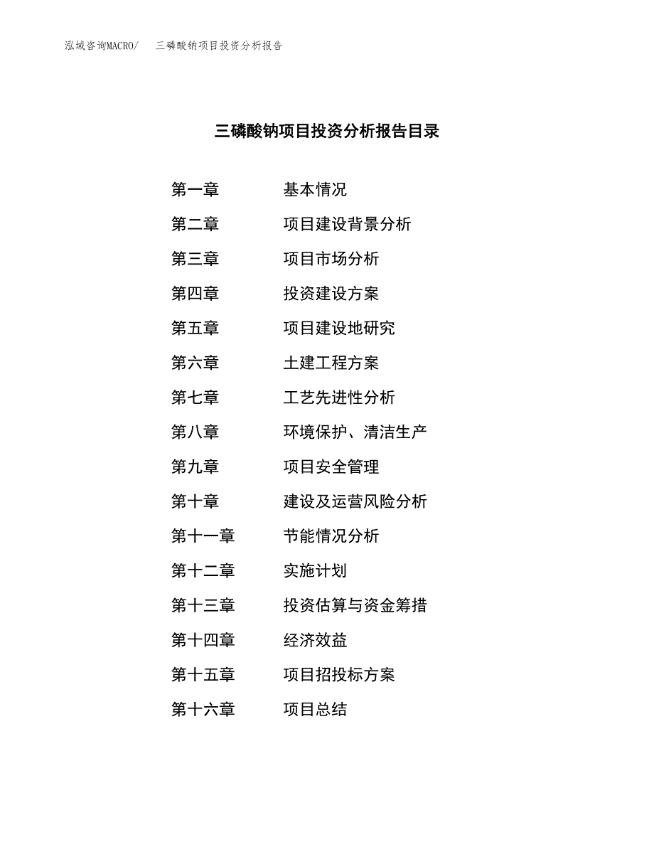 （模板）三磷酸钠项目投资分析报告_第3页