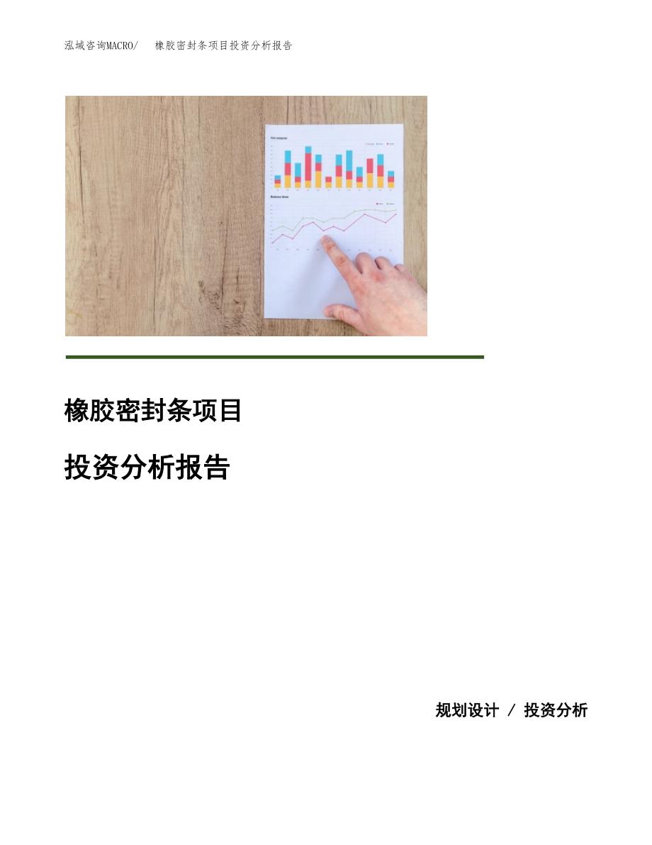 （模板）橡胶密封条项目投资分析报告 (1)_第1页