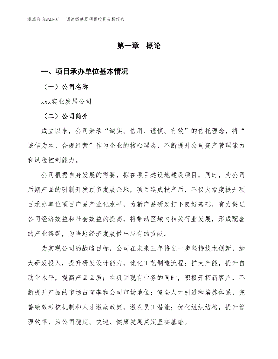 （模板）调速振荡器项目投资分析报告_第4页