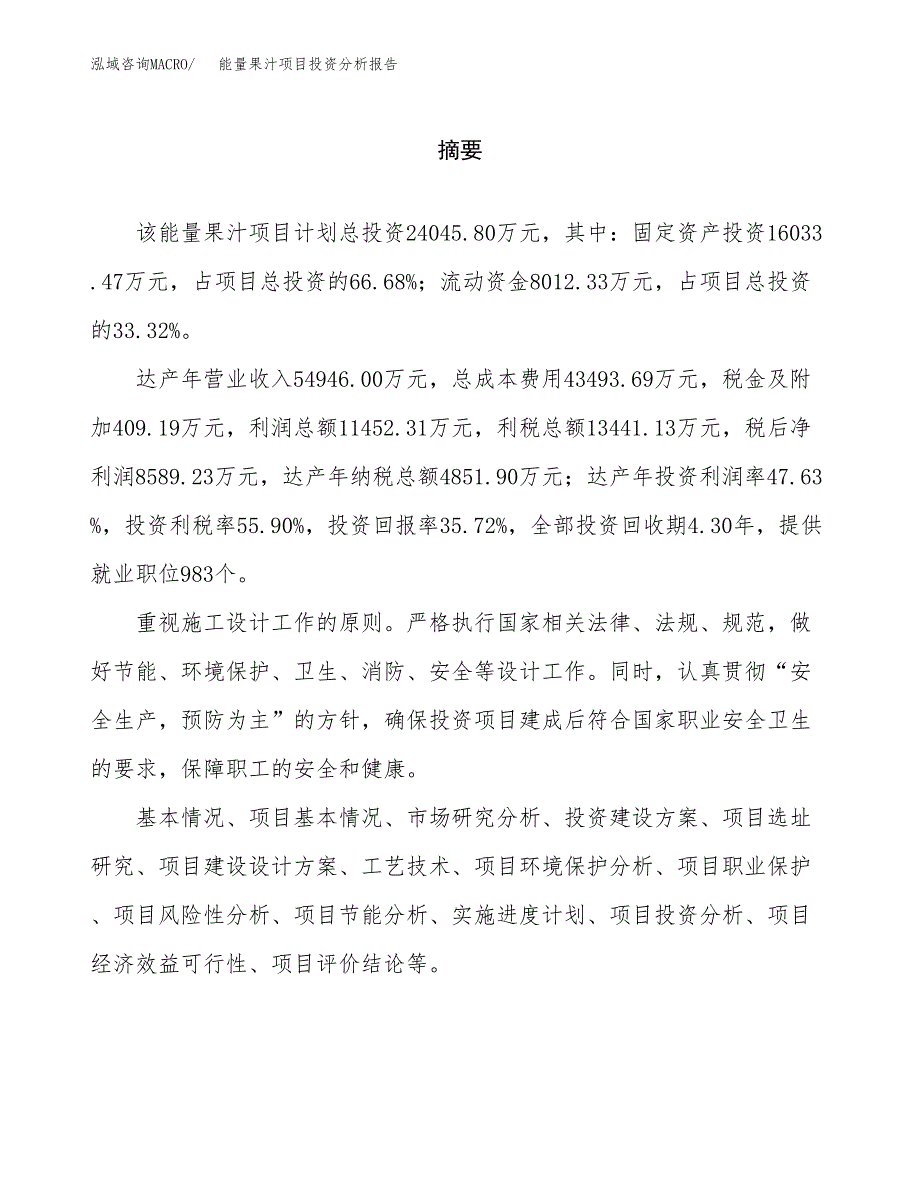 （模板）能量果汁项目投资分析报告_第2页