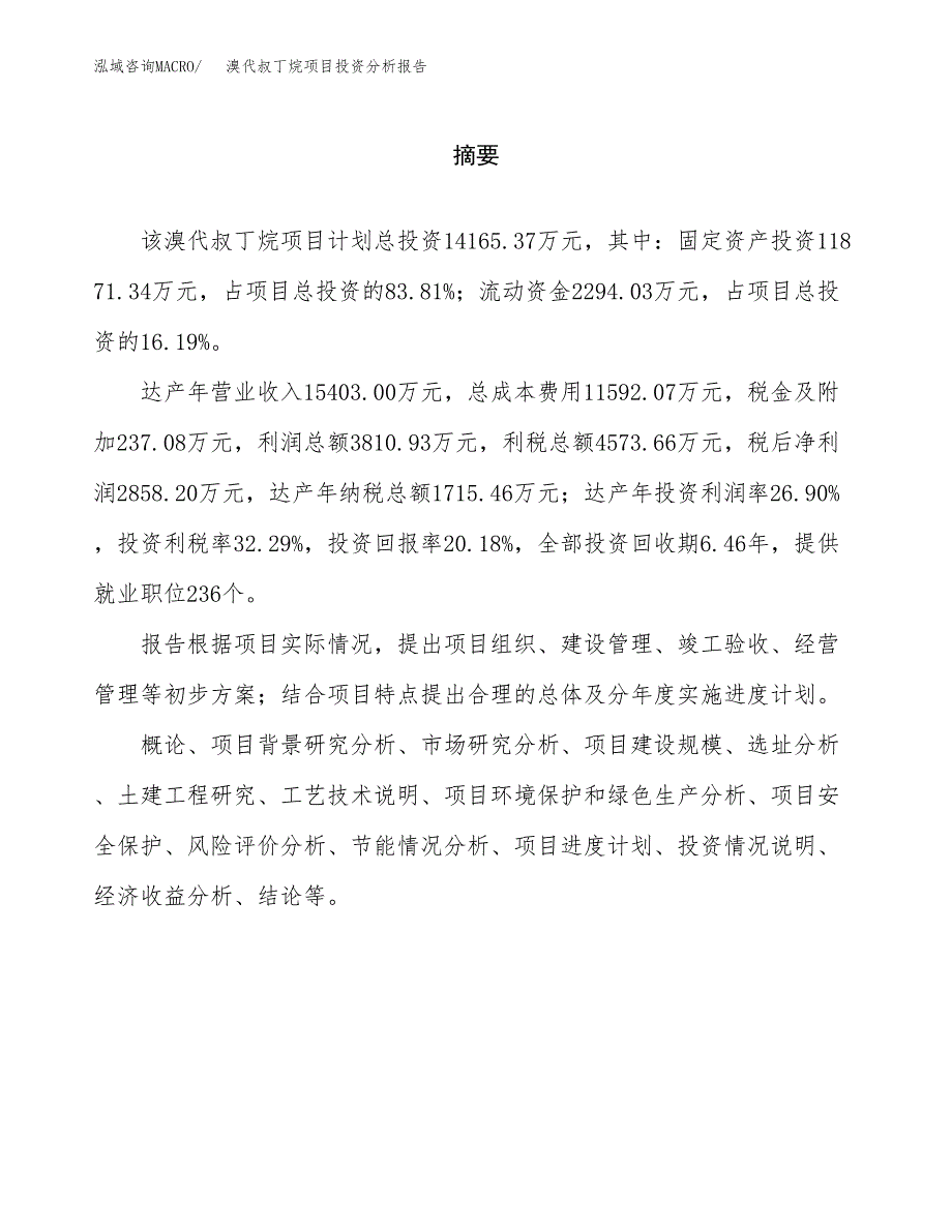 （模板）溴代叔丁烷项目投资分析报告_第2页