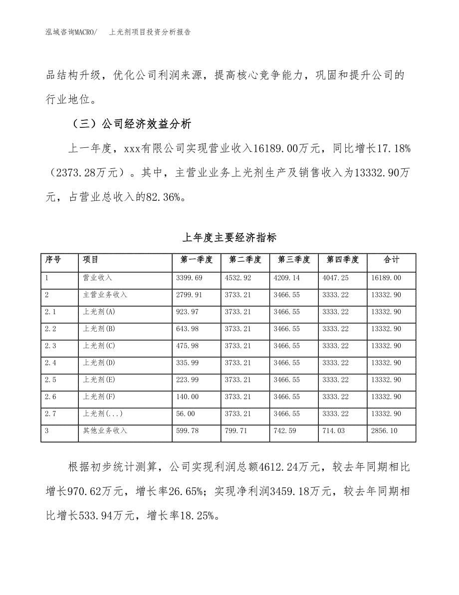 （模板）上光剂项目投资分析报告_第5页