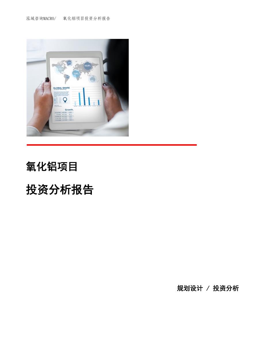 （模板）氧化铝项目投资分析报告_第1页