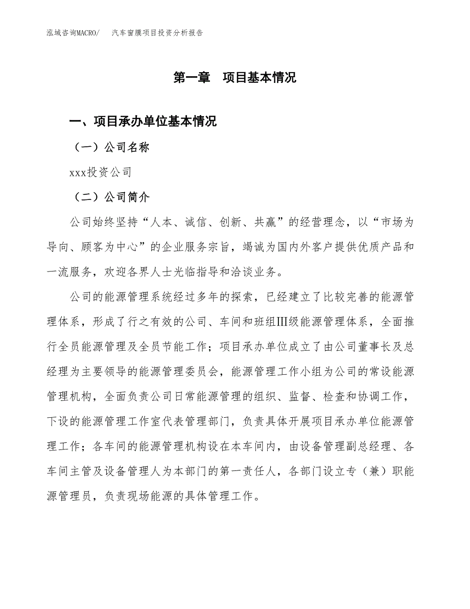 （模板）汽车窗膜项目投资分析报告_第4页