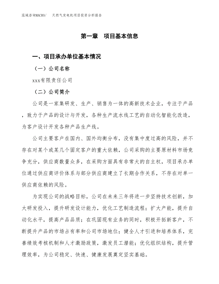 （模板）天然气发电机项目投资分析报告_第4页