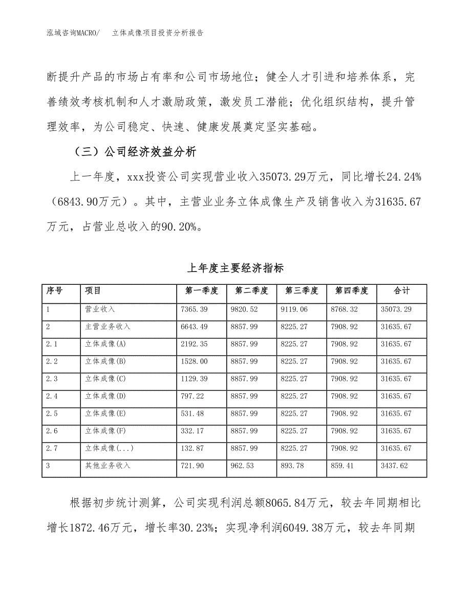 （模板）立体成像项目投资分析报告_第5页