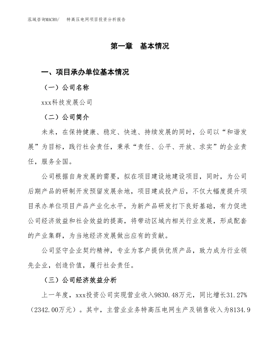 （模板）特高压电网项目投资分析报告_第4页