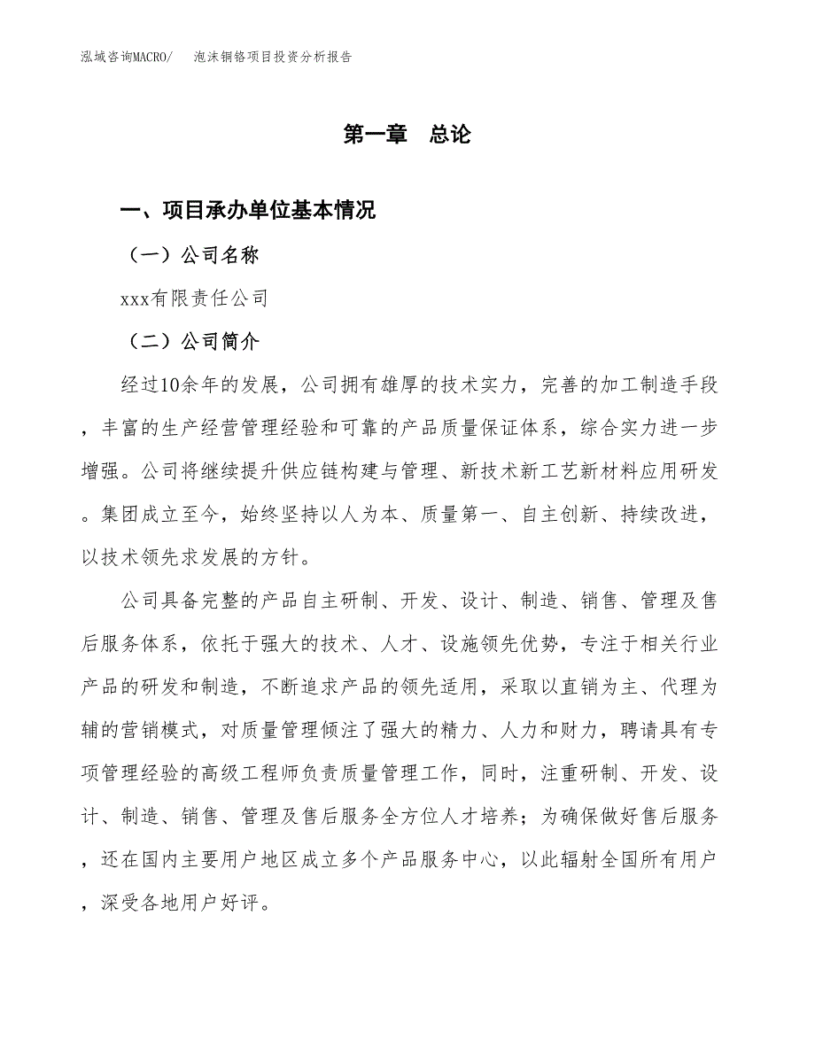 （模板）泡沫铜铬项目投资分析报告_第4页