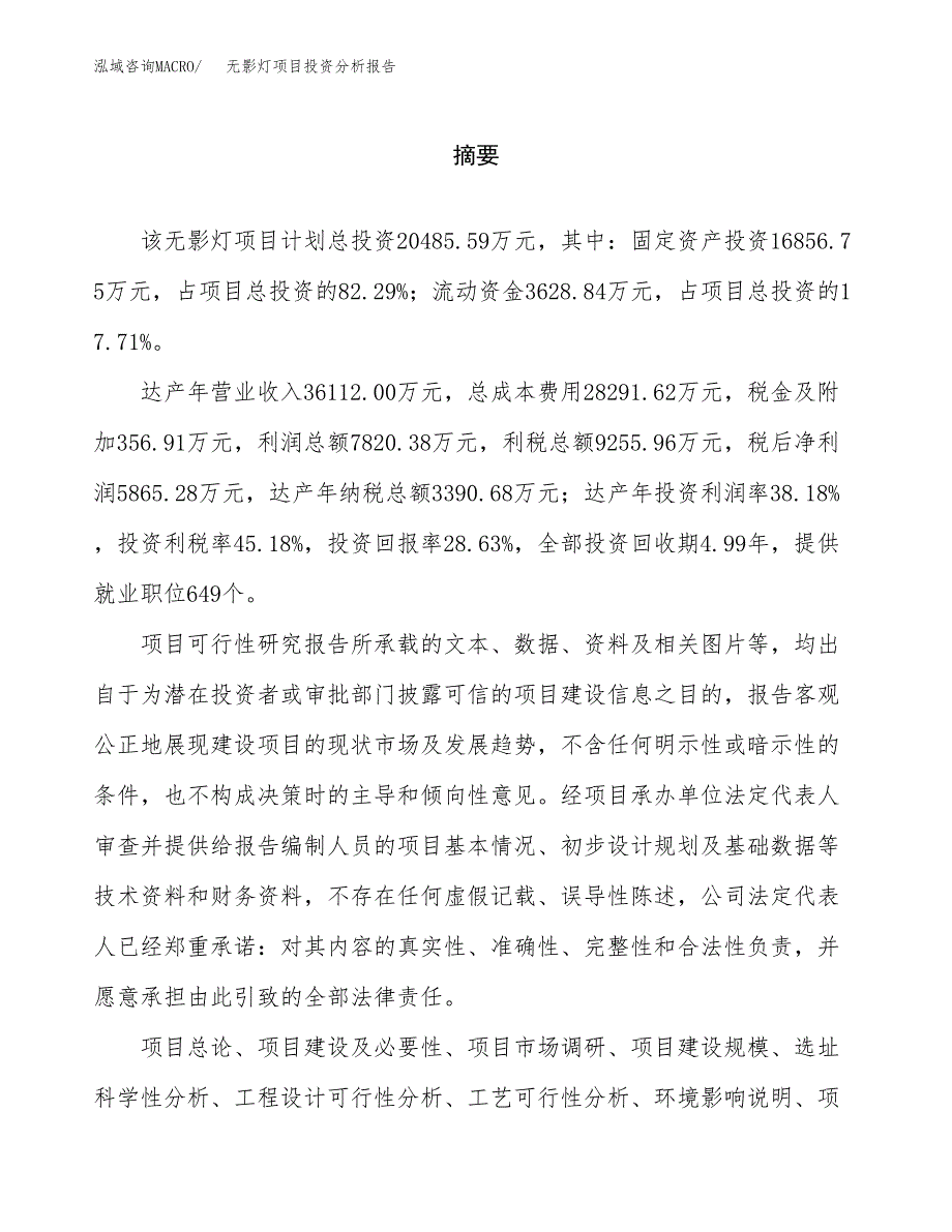 （模板）无影灯项目投资分析报告 (1)_第2页