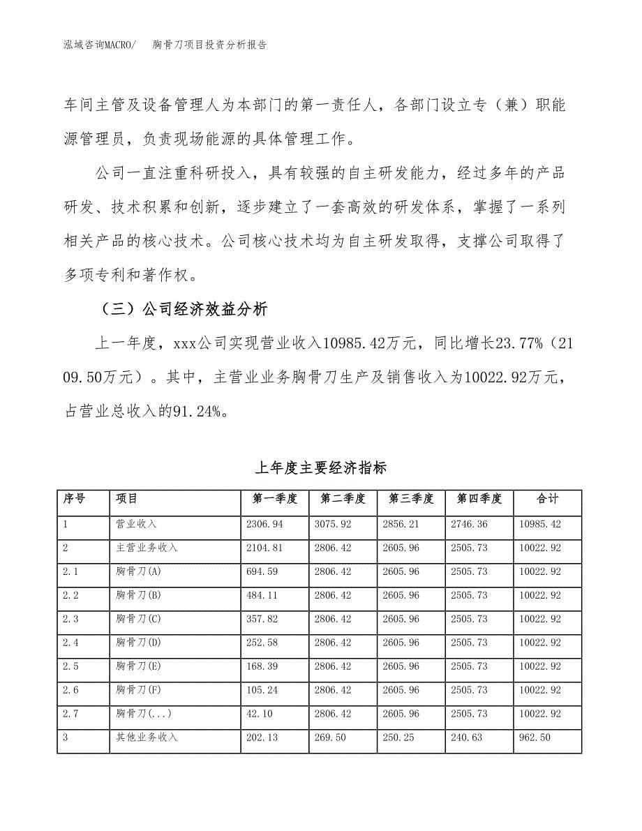 （模板）胸骨刀项目投资分析报告_第5页