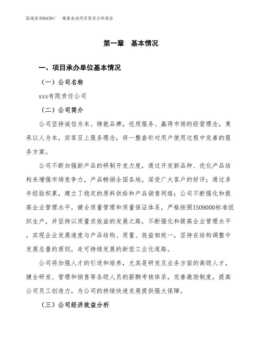 （模板）镍氢电池项目投资分析报告_第4页