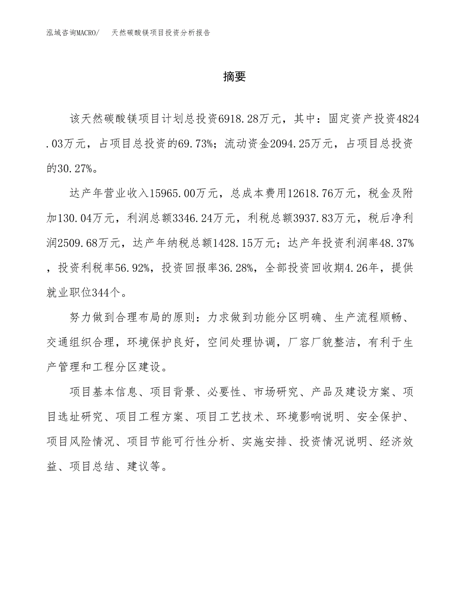 （模板）天然碳酸镁项目投资分析报告_第2页