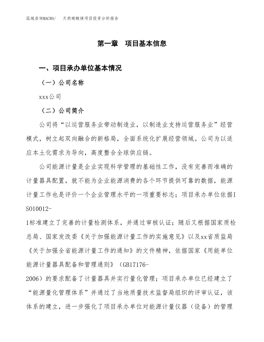 （模板）天然碳酸镁项目投资分析报告_第4页