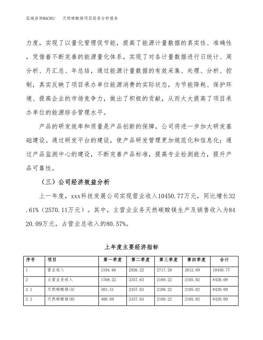 （模板）天然碳酸镁项目投资分析报告_第5页