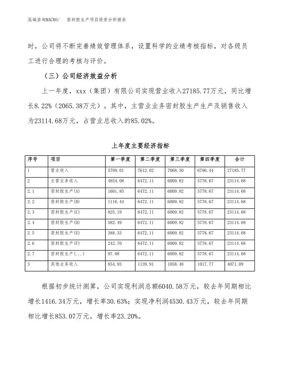 （模板）密封胶生产项目投资分析报告_第5页