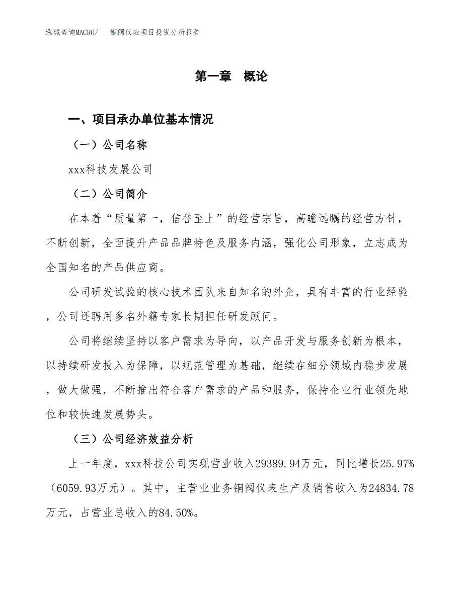 （模板）铜阀仪表项目投资分析报告_第4页