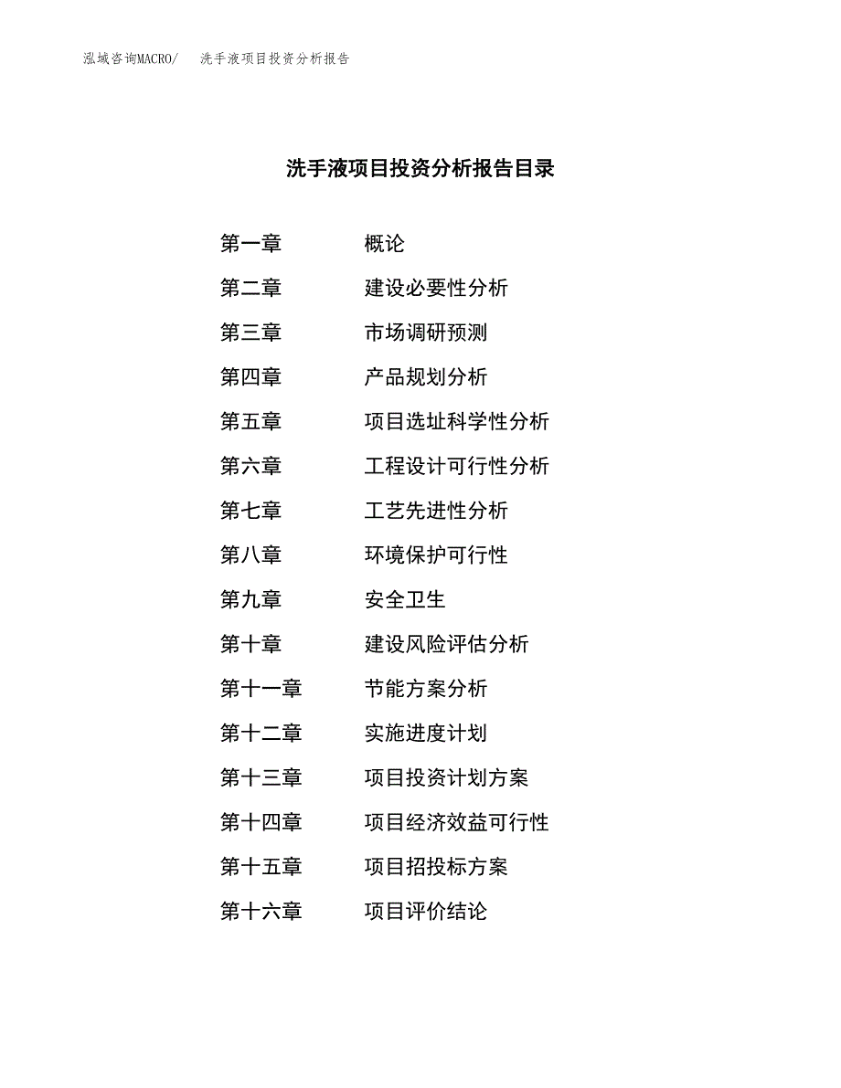 （模板）洗手液项目投资分析报告 (1)_第3页