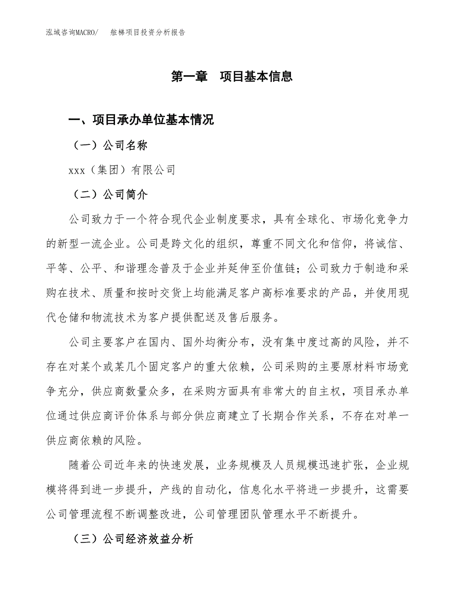 （模板）舷梯项目投资分析报告_第4页