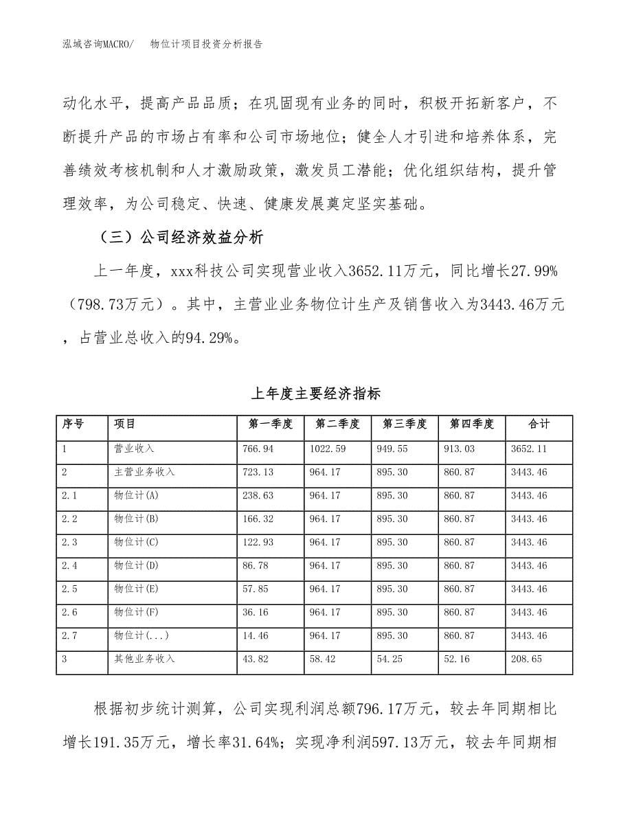 （模板）物位计项目投资分析报告_第5页