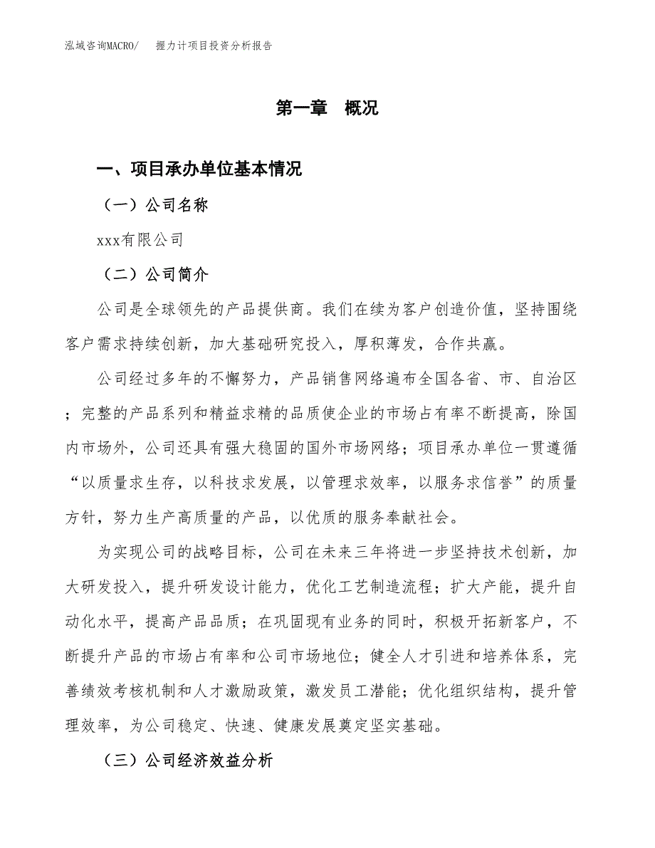 （模板）握力计项目投资分析报告_第4页