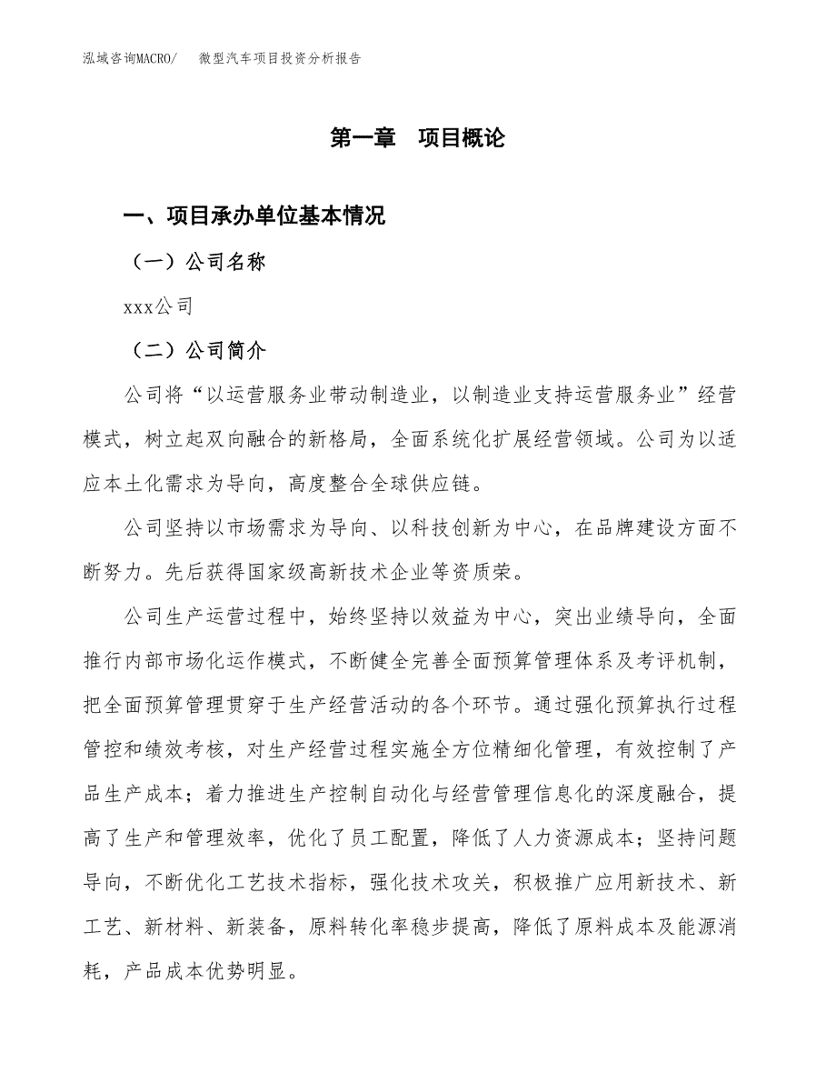 （模板）微型汽车项目投资分析报告 (1)_第4页