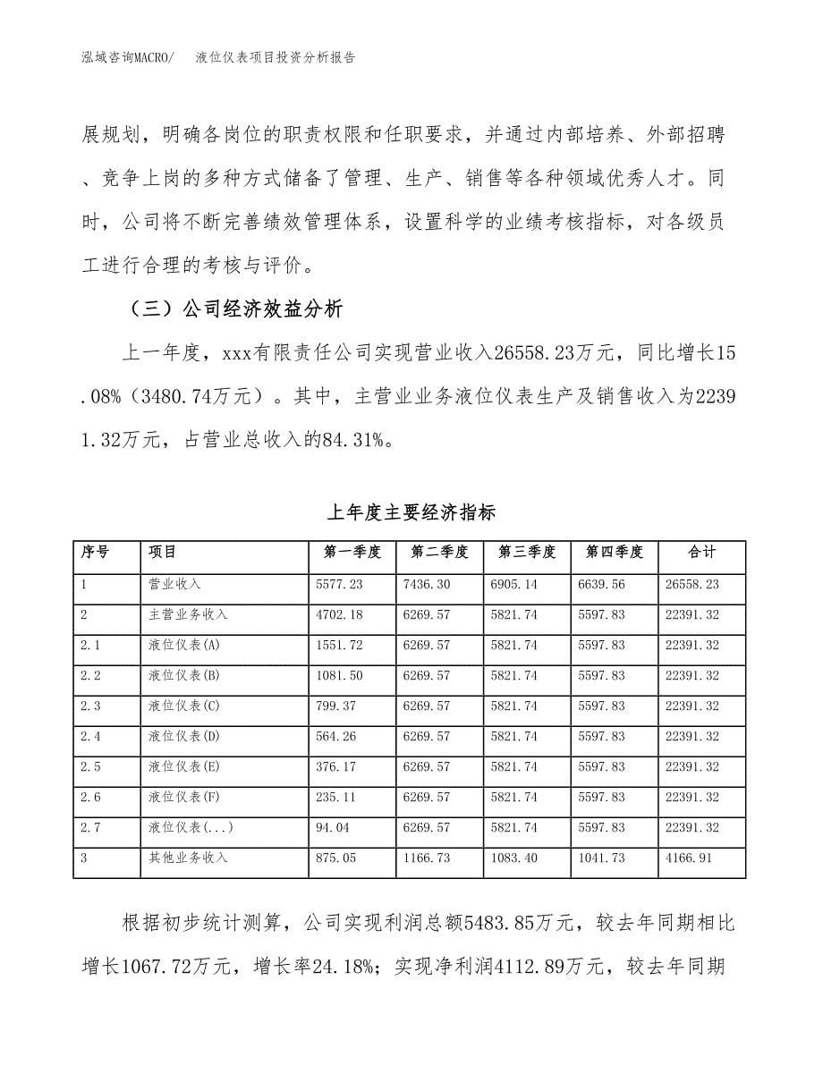 （模板）液位仪表项目投资分析报告_第5页