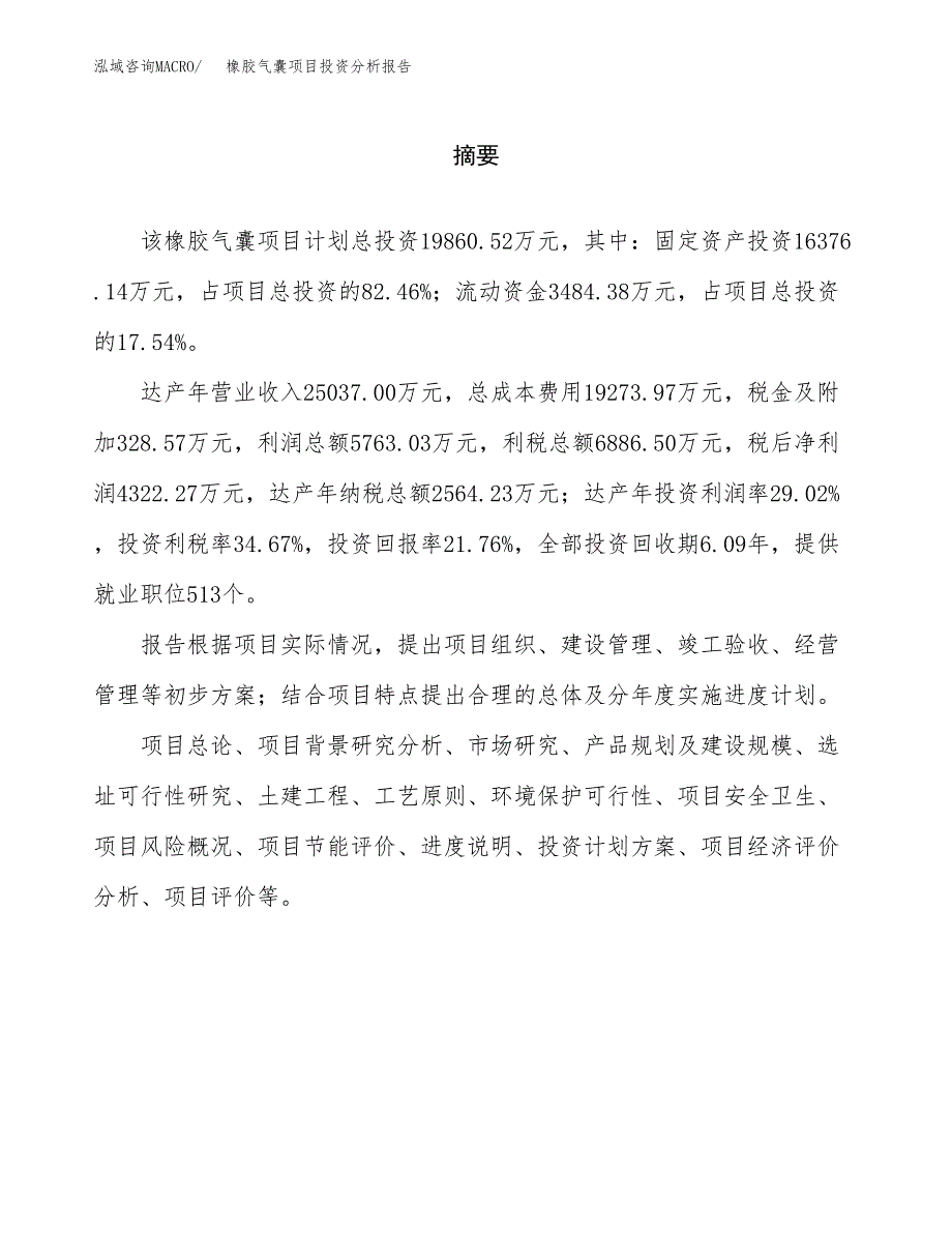 （模板）橡胶气囊项目投资分析报告_第2页