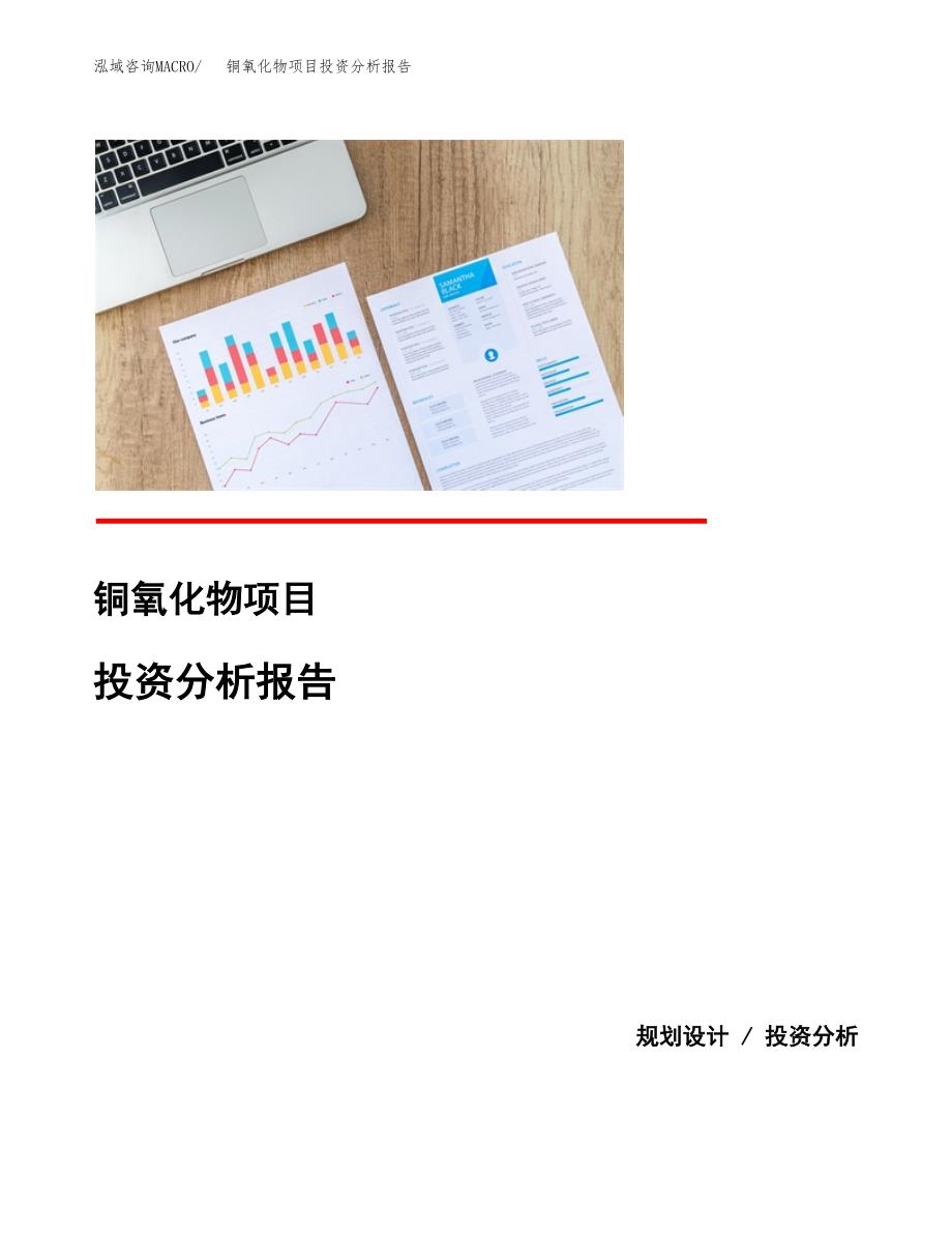 （模板）铜氧化物项目投资分析报告_第1页