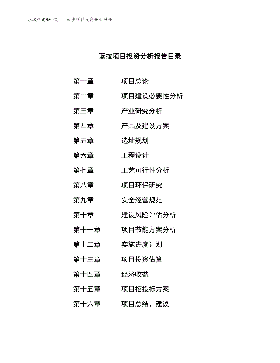 （模板）蓝按项目投资分析报告_第3页