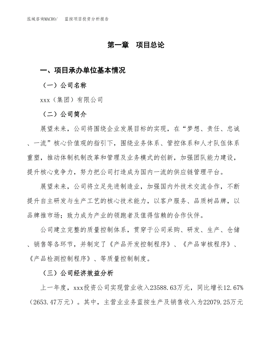 （模板）蓝按项目投资分析报告_第4页