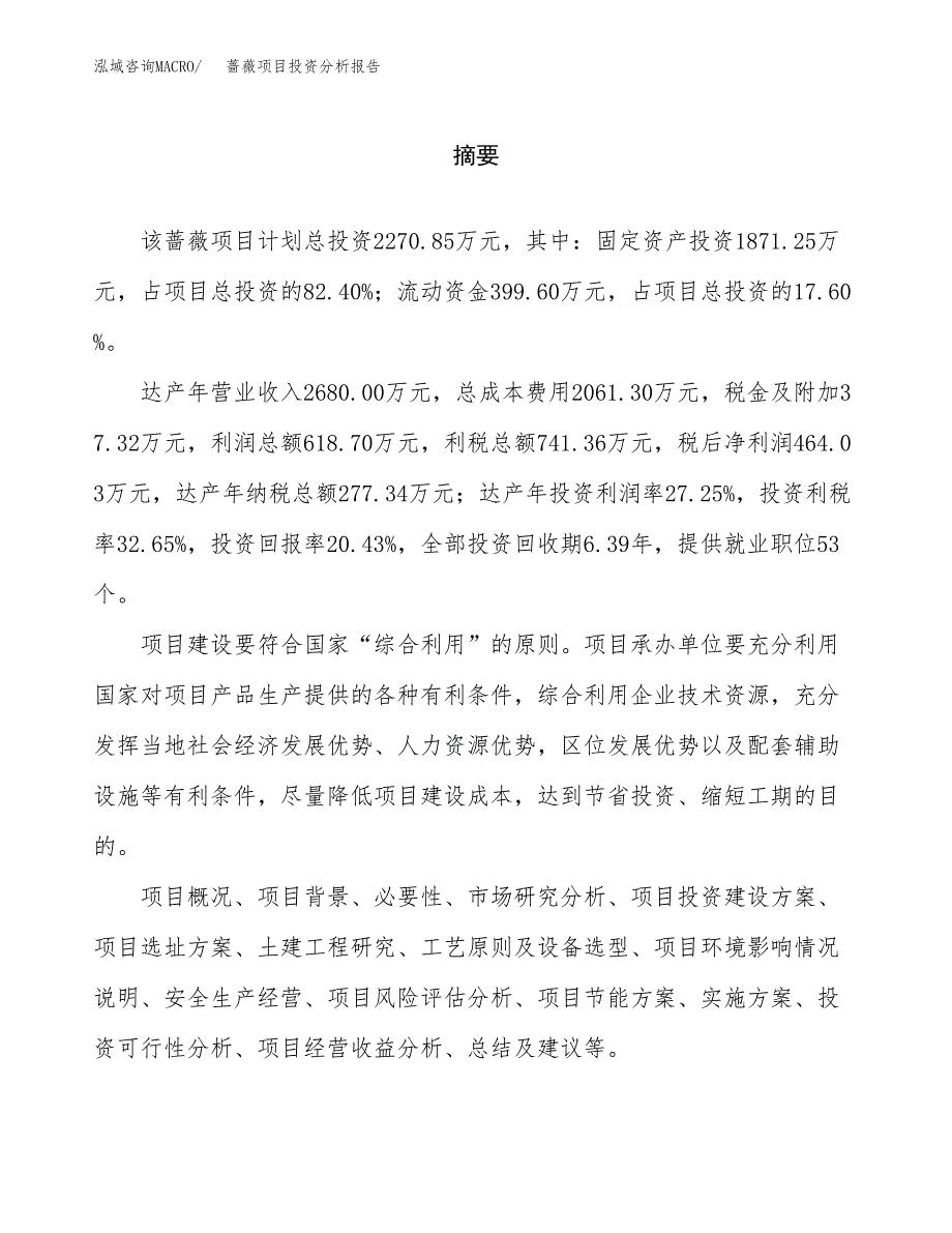 （模板）蔷薇项目投资分析报告_第2页