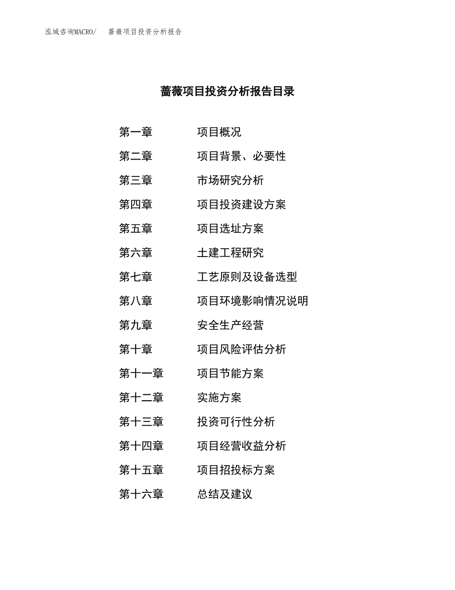 （模板）蔷薇项目投资分析报告_第3页