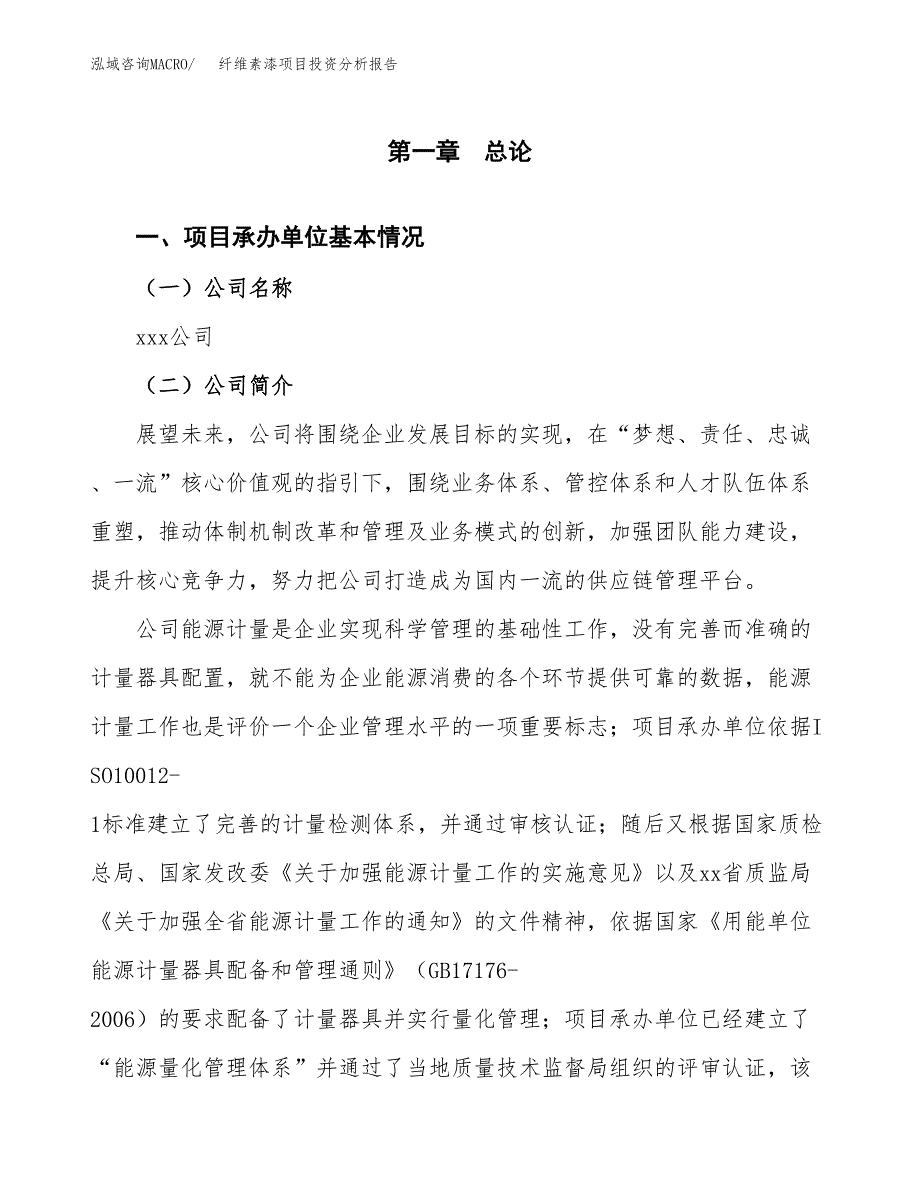 （模板）纤维素漆项目投资分析报告_第4页