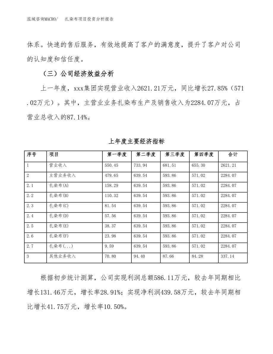 （模板）扎染布项目投资分析报告_第5页