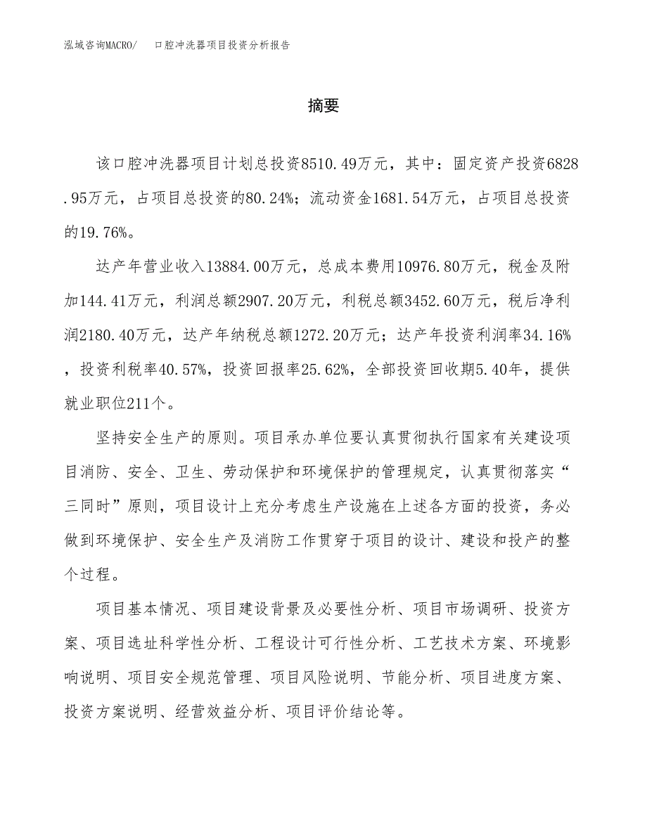 （模板）口腔冲洗器项目投资分析报告 (1)_第2页