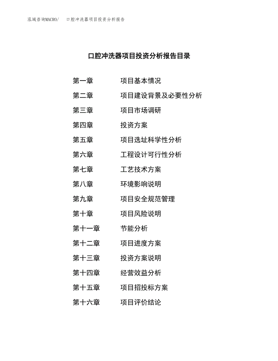 （模板）口腔冲洗器项目投资分析报告 (1)_第3页