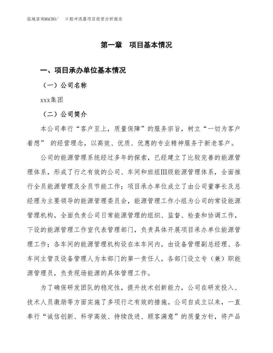 （模板）口腔冲洗器项目投资分析报告 (1)_第4页