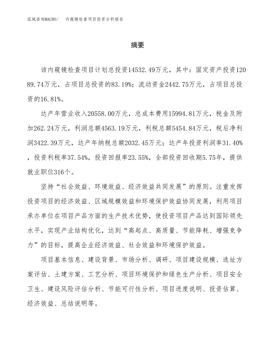 （模板）内窥镜检查项目投资分析报告_第2页