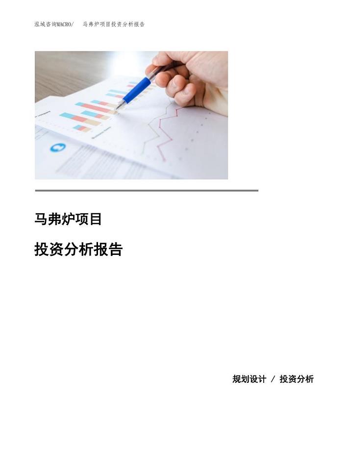 （模板）马弗炉项目投资分析报告 (1)
