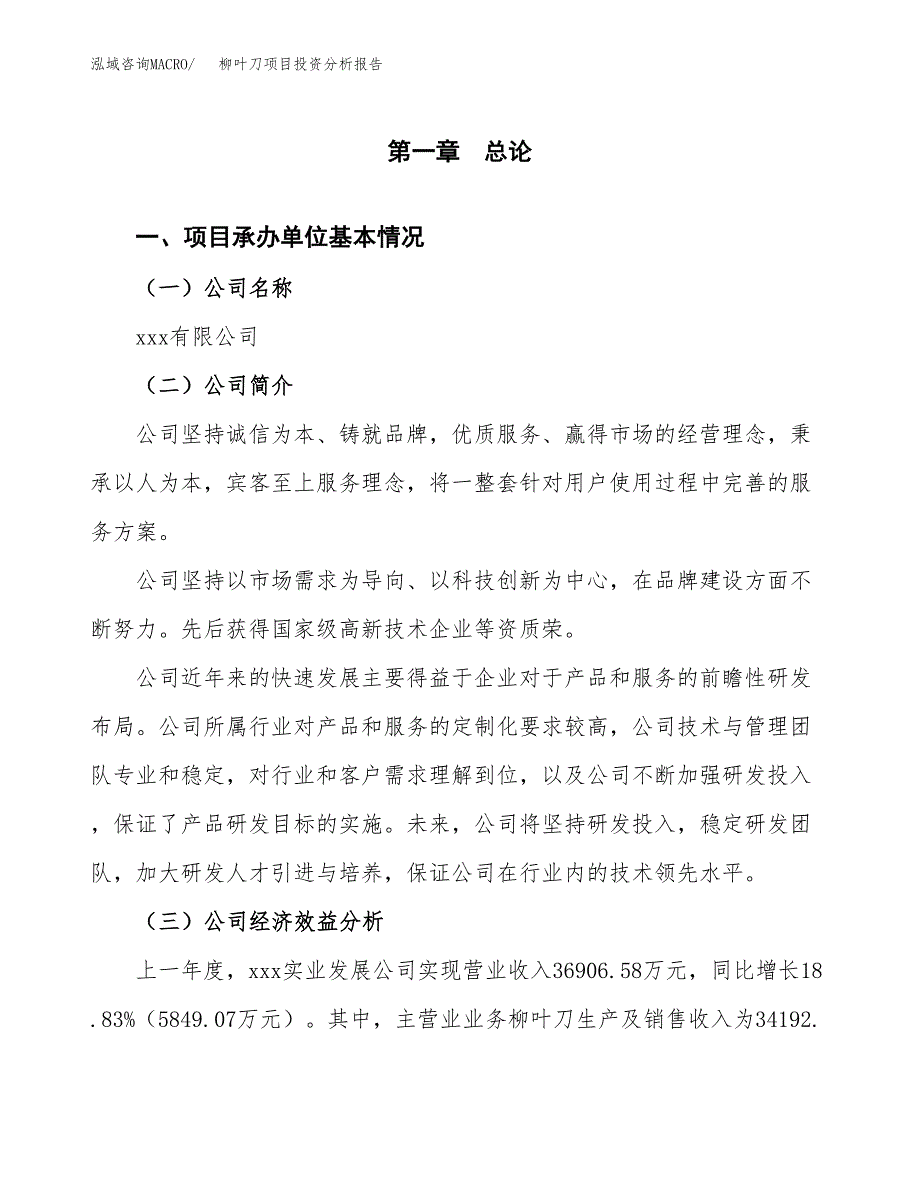 （模板）柳叶刀项目投资分析报告_第4页